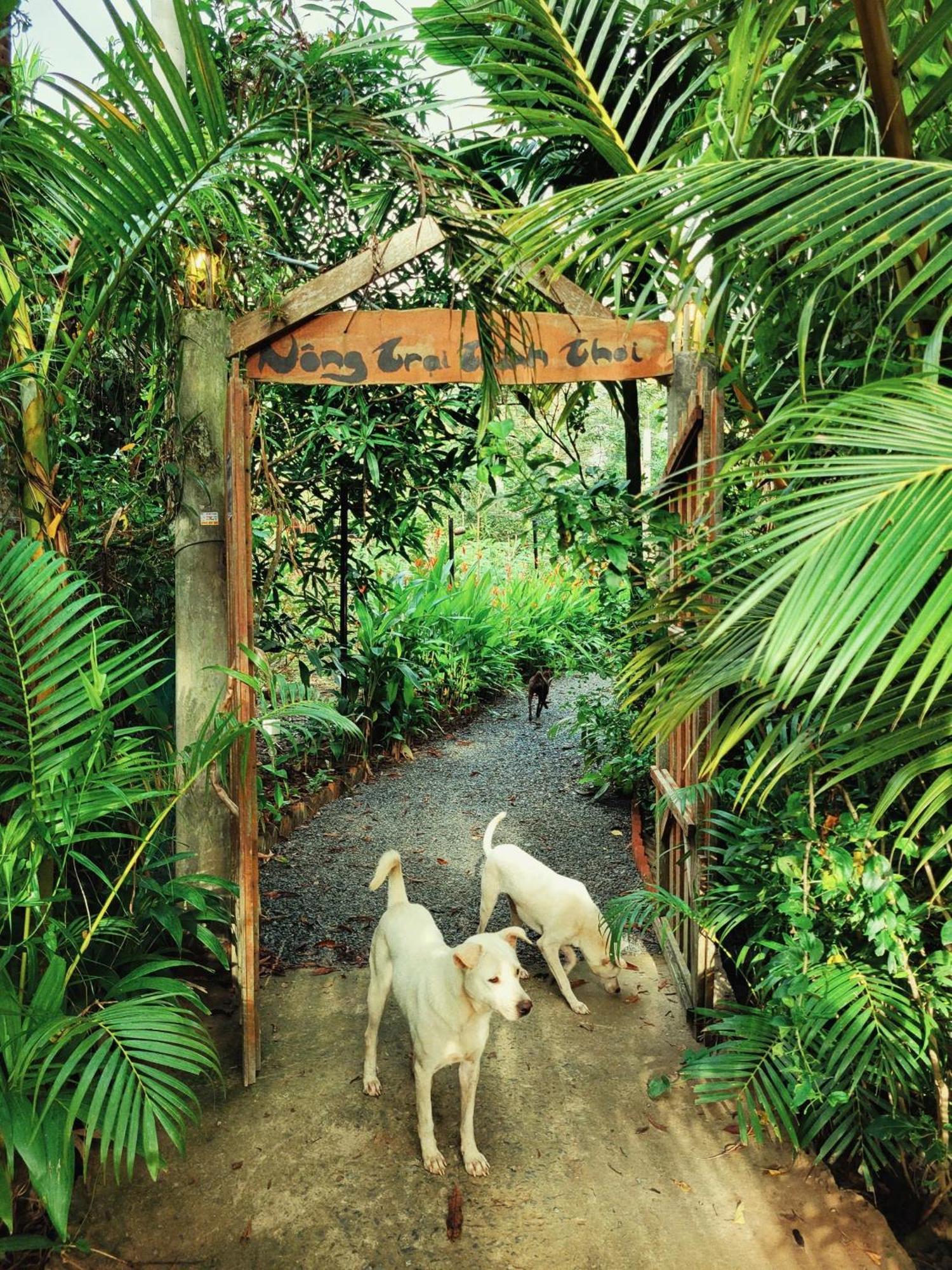 Nong Trai Thanh Thoi Ben Tre Экстерьер фото